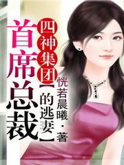 四神集团1首席总裁的逃妻勒思媛